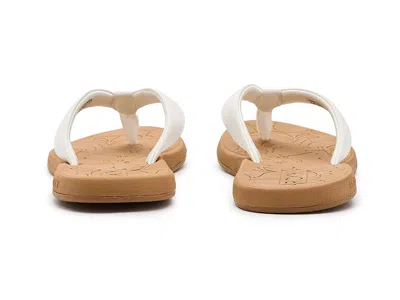 Roxy Vickie In Multi