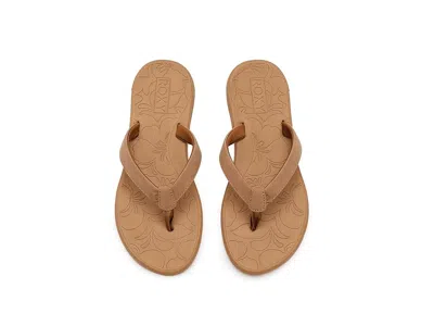 Roxy Vickie In Multi