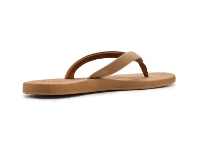 Roxy Vickie In Multi