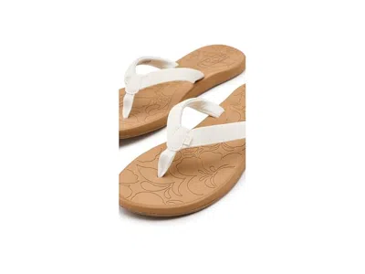 Roxy Vickie In Multi