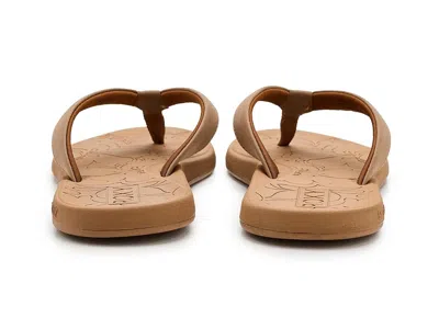 Roxy Vickie In Multi