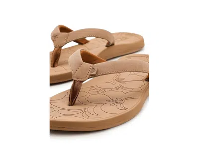 Roxy Vickie In Multi