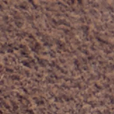 Aldo Alloria In Brown
