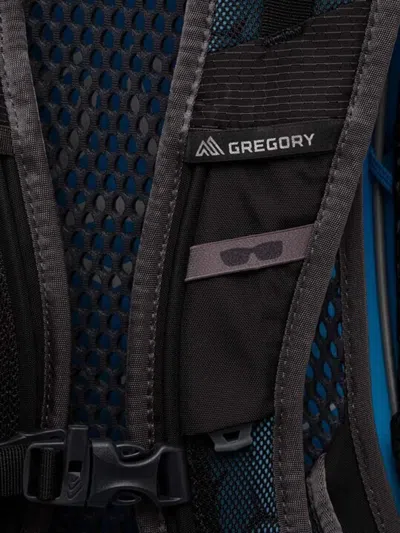 Gregory 24 Citro Backpack In Black