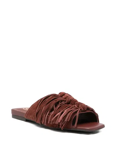 Ash Fringed Flat Sandals In Multi