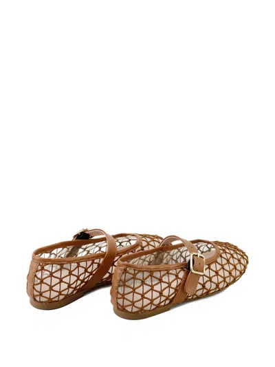 Eli1957 Buckle-strap Ballerinas In Multi