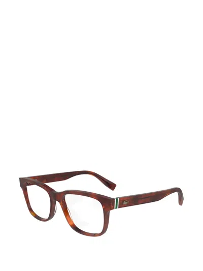 Lacoste Square-frame Glasses In Brown
