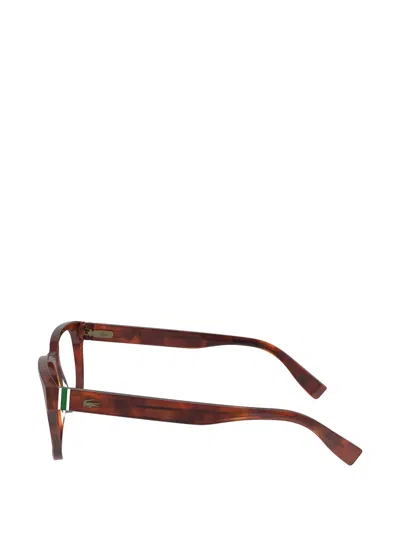 Lacoste Square-frame Glasses In Brown
