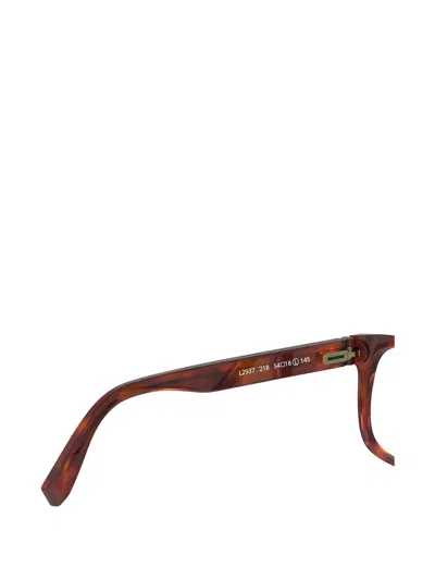 Lacoste Square-frame Glasses In Brown