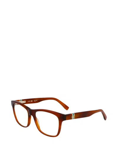 Lacoste Square-frame Glasses In Brown