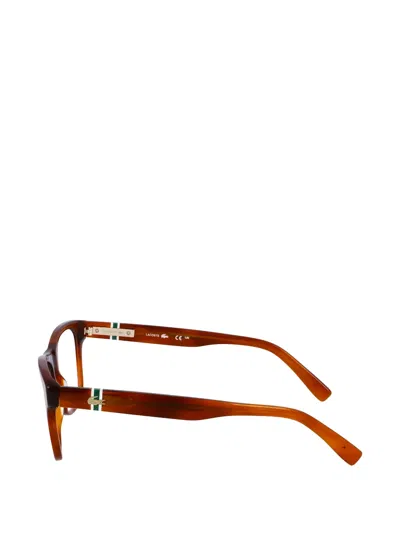 Lacoste Square-frame Glasses In Brown