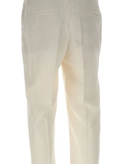 Devore Elasticated-pleated Trousers In Neutral