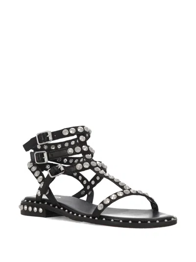 Ash Flat Sandals Three Ankle Straps Studs In Black