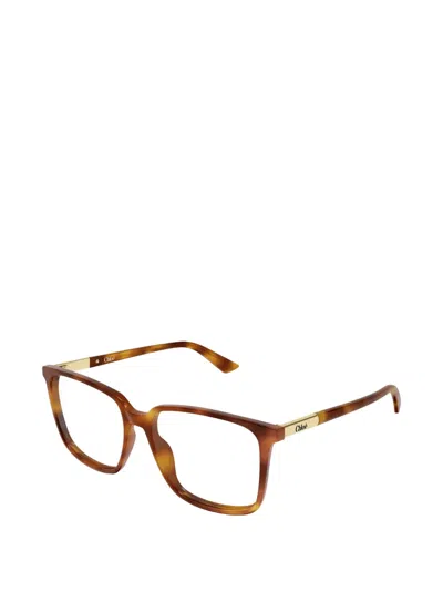 Chloé Square-frame Glasses In Brown