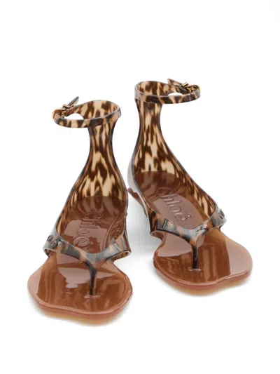 Chloé Jelly Flip-flop Sandals Tropical Print Shell Heel In Multi