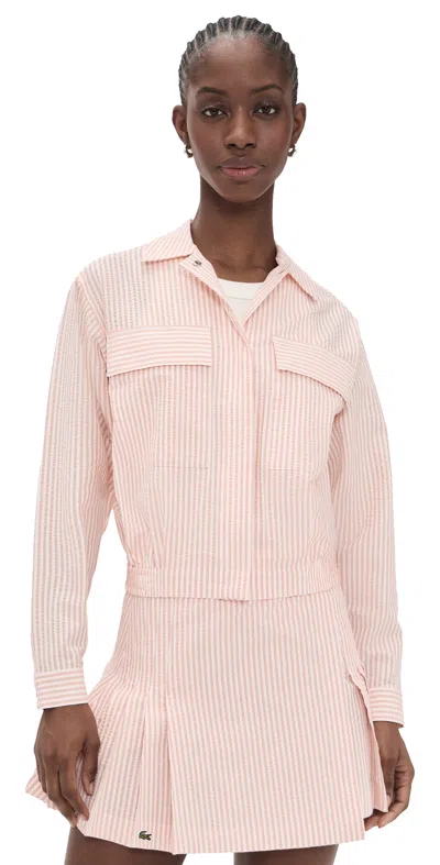 Lacoste Striped Seersucker Shirt In Pink