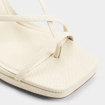 Aldo Cleadonn In Neutral