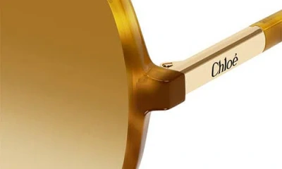 Chloé Judy Round-frame Tortoiseshell Acetate Sunglasses In Brown
