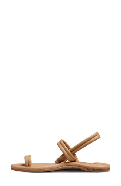 Beek Pavo Toe Loop Sandal In Multi