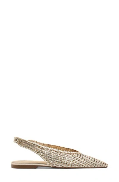 Arezzo Eva Slingback Pointed Toe Flat In Multi