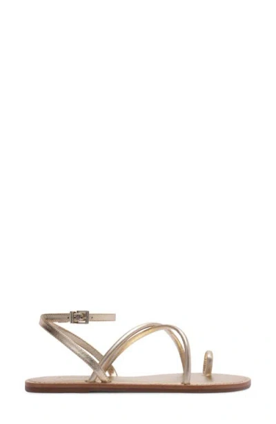 Schutz Valeria Toe Loop Ankle Strap Sandal In Multi