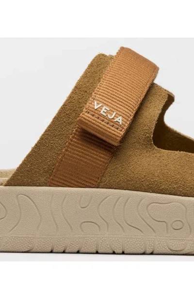 Veja Arpoador Suede Sandals In Brown