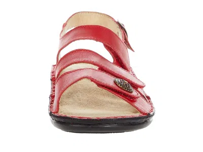 David Tate Wrap In Red