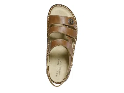 David Tate Wrap In Brown