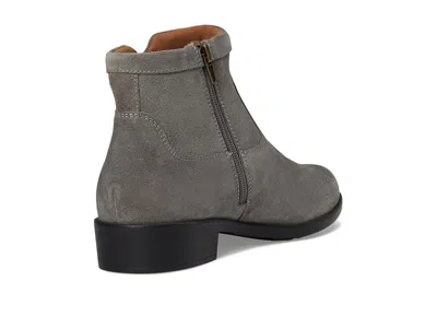 Cobb Hill Novela In Multi