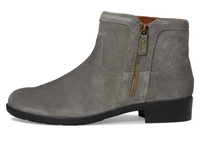 Cobb Hill Novela In Multi