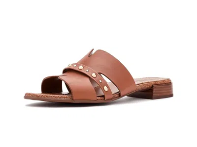 Naturalizer Niche Slide Sandal In Brown