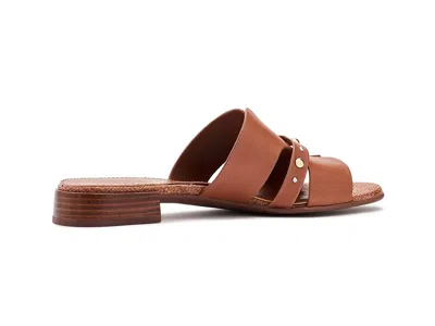 Naturalizer Niche Slide Sandal In Brown