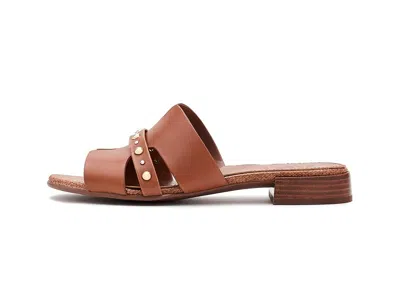 Naturalizer Niche Slide Sandal In Brown