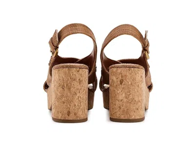 Sam & Libby Hanfleur In Brown