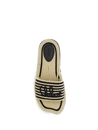 Chloé Sandals 19a With Shaped Straps In White Leather For Women In Black