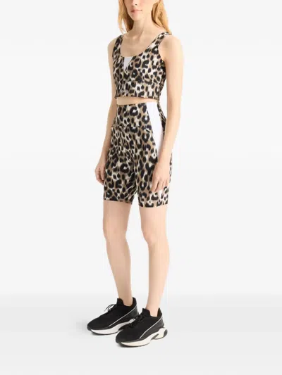 Fusalp Biarro Leopard-pattern Shorts In Brown