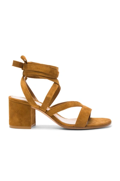 Shop Gianvito Rossi Suede Janis Low Sandals In Neutrals