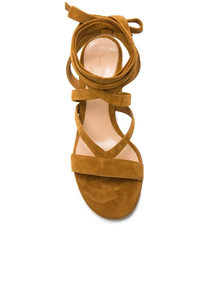 Shop Gianvito Rossi Suede Janis Low Sandals In Neutrals