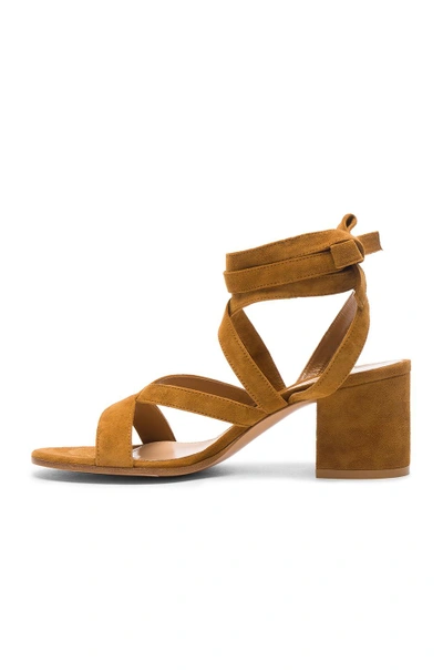 Shop Gianvito Rossi Suede Janis Low Sandals In Neutrals