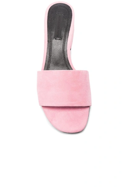 Shop Alexander Wang Suede Lou Slides In Pink