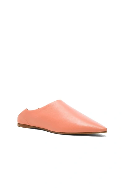 Shop Acne Studios Leather Amina Babouche Slippers In Pink