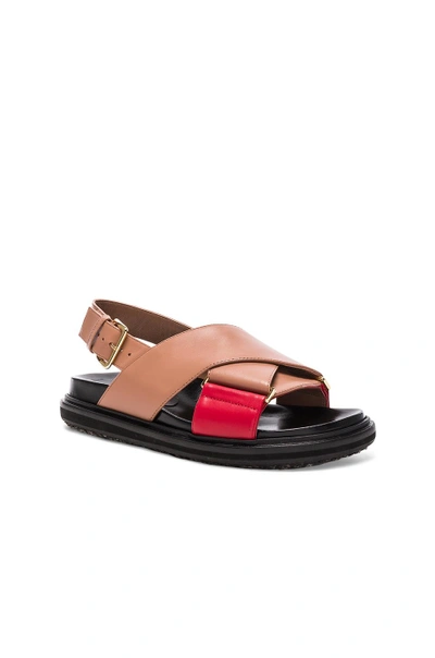 Shop Marni Leather Fussbett Sandals In Cameo & Indian Red