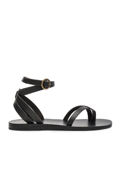 Valia Gabriel Malabar Sandal In Black