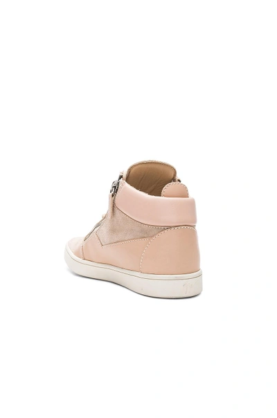 Shop Giuseppe Zanotti Maylondon Sneaker In Padillo