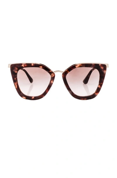 Prada Square Sunglasses In Spotted Brown Pink