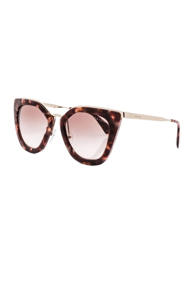 Shop Prada Square Sunglasses In Spotted Brown Pink