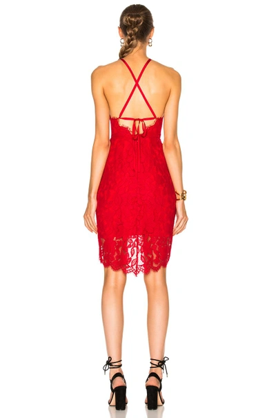 Shop Lover Affinity Halter Dress In Scarlet