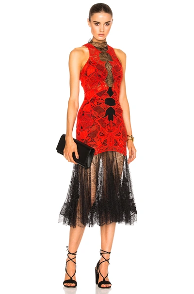 Jonathan Simkhai Dome Lace Corded Applique Dress In Red Black