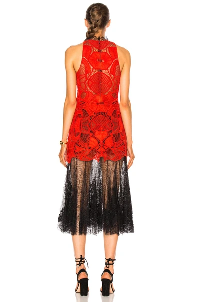 Shop Jonathan Simkhai Dome Lace Corded Dress In Black,red