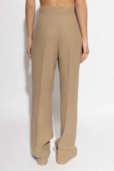 Max Mara Pleated Front Casual Pants In Brown